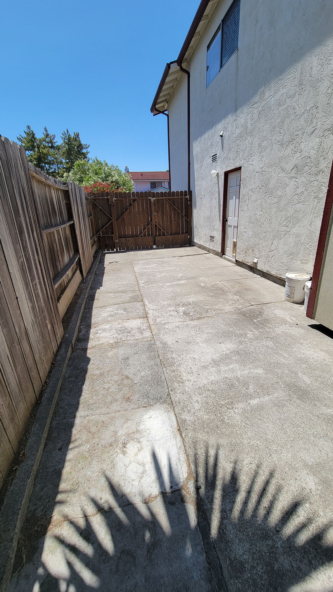 Backyard - 203 Oriole Ct