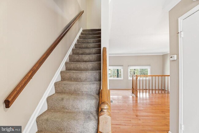 Building Photo - 41 Jones Falls Terrace