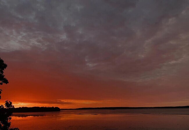 Building Photo - 220 Veranda St