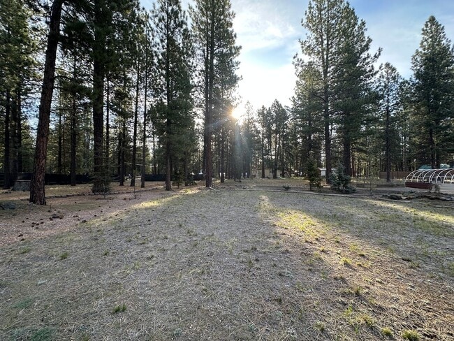 Building Photo - Adorable home in La Pine area, 1.5 acres fully fenced!!