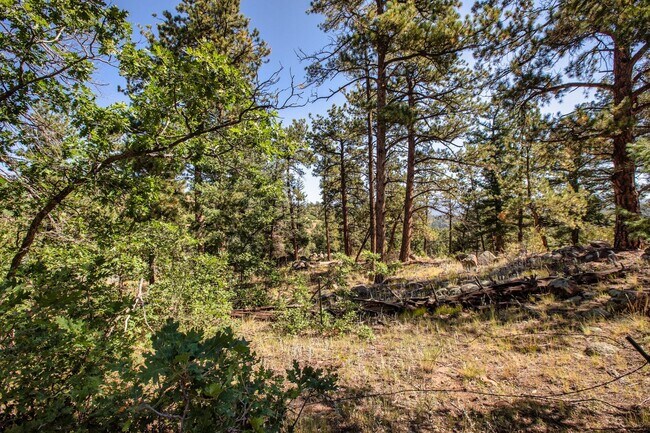 Building Photo - Backcountry Living