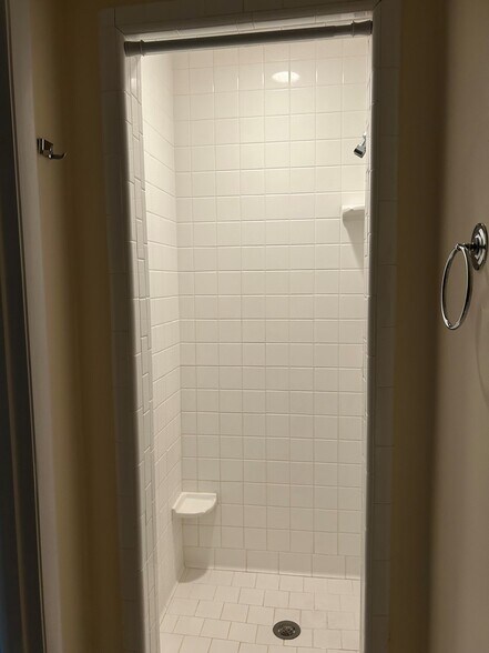 Downstairs Shower - 1488 Mitchell Ave