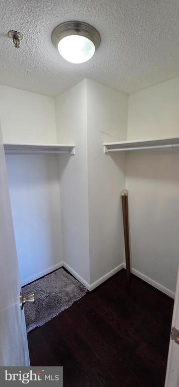 Building Photo - 3709 S George Mason Dr