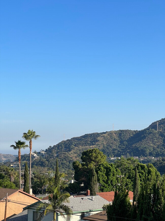View from the building - 3010 Montrose Ave