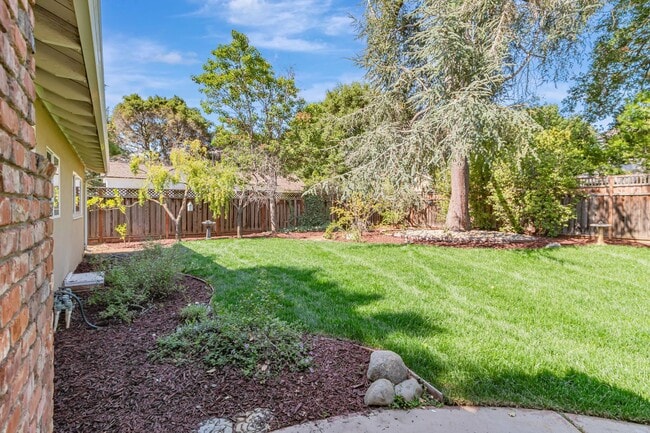 Building Photo - Fabulous 3BR 2BA Single Family Los Altos Home