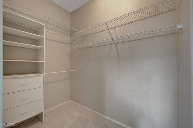 Building Photo - 4732 Madrid Ridge Ct