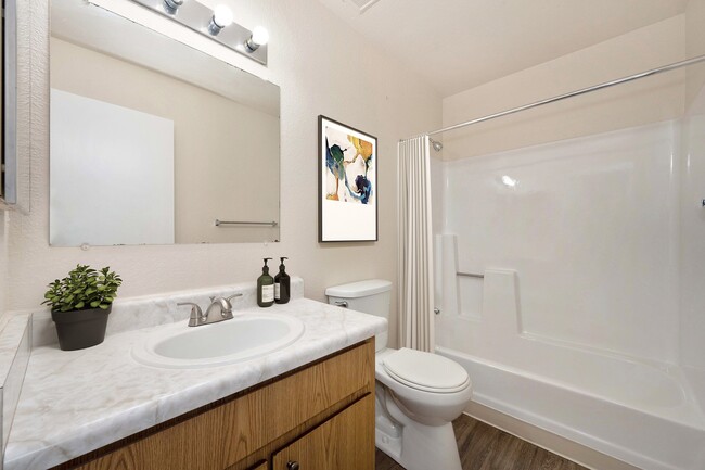 Bathroom - Ashford Heights Apartments