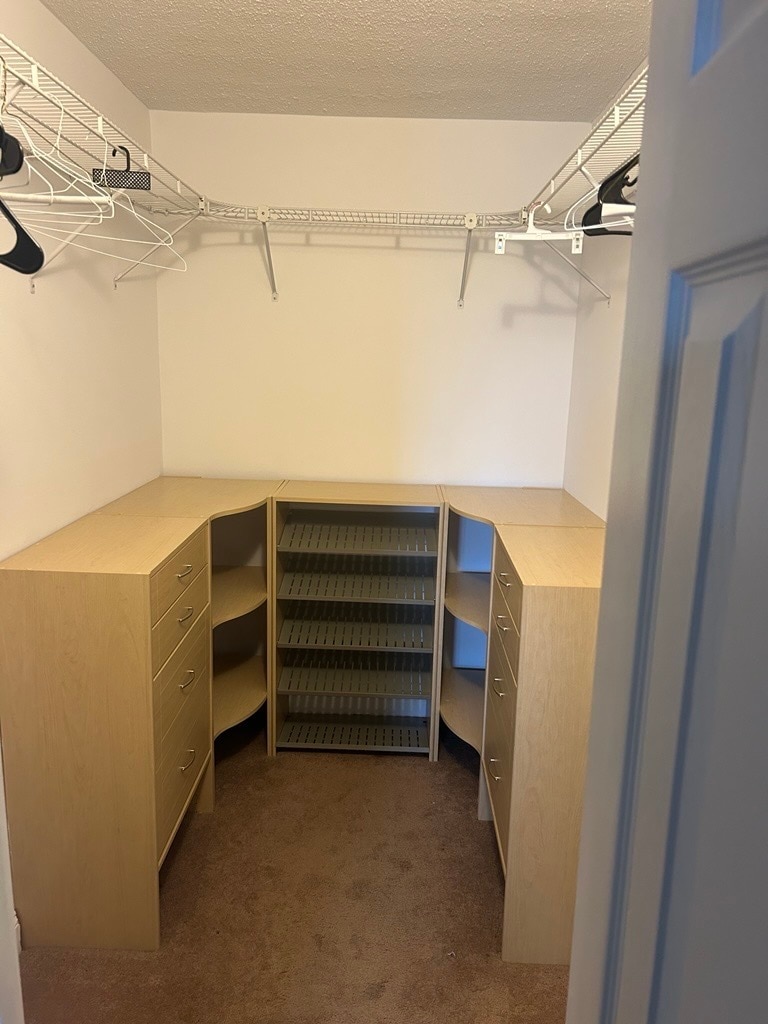 Bedroom 1 Walk-In Closet - 4500 S Four Mile Run Dr