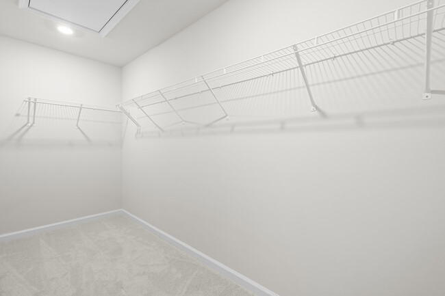 Building Photo - 6017 Grey Colt Wy