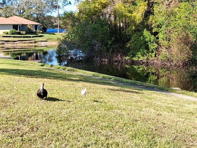 Building Photo - 7737 Eureka Dr