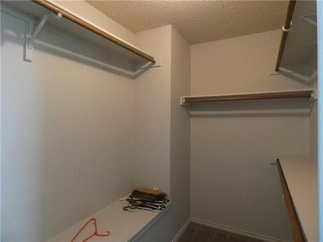 Building Photo - 1503 Collin Dr