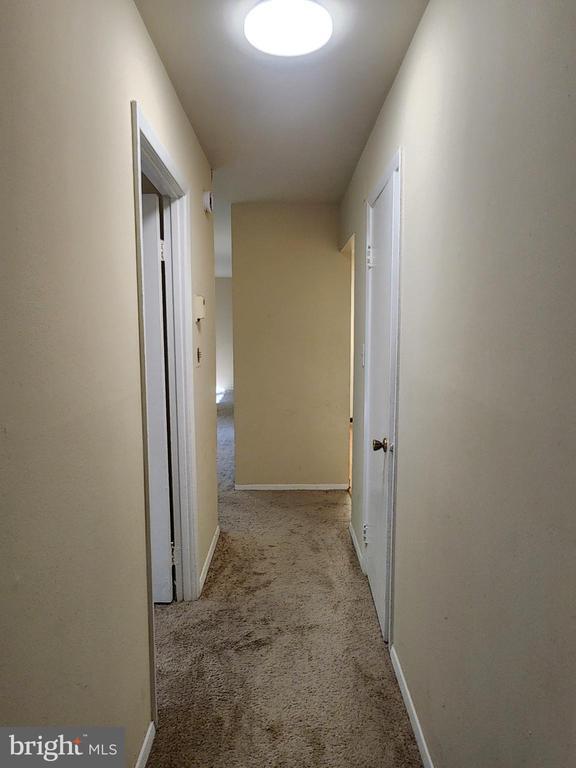 Building Photo - 12215 Braxfield Ct
