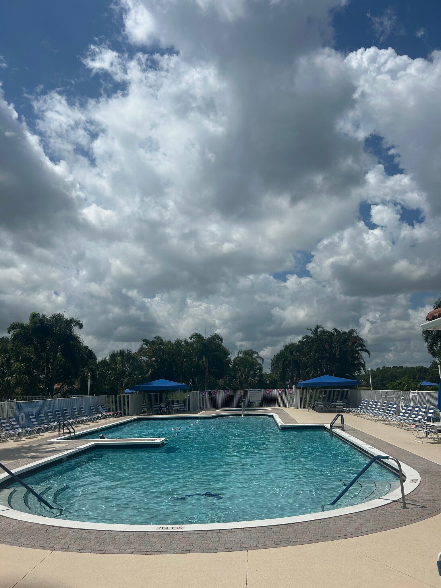 Olympic heated pool with lounge chair - 798 SW Munjack Cir