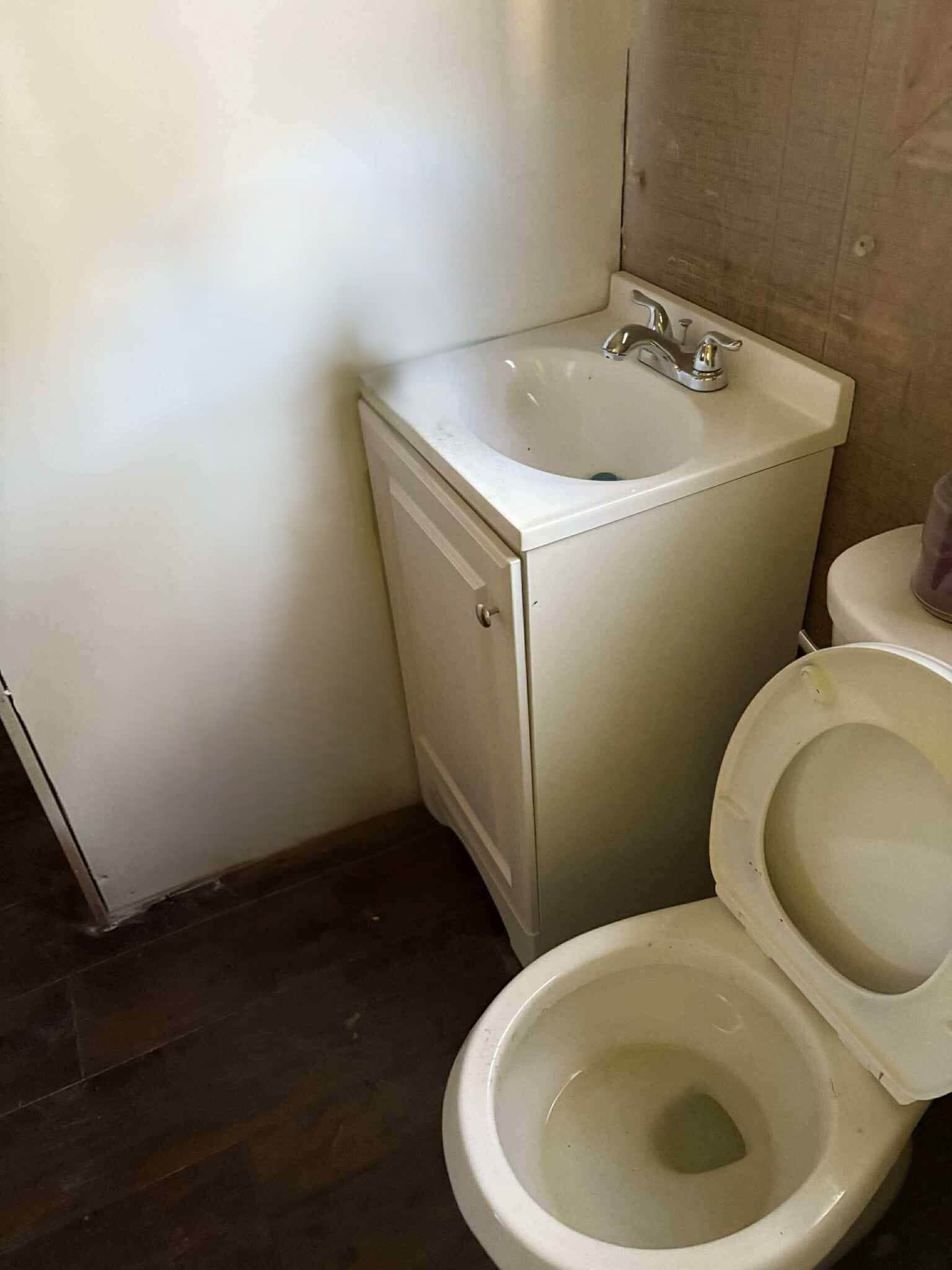 New Vanity and Toilet and Floor - 259 Elizabeth St