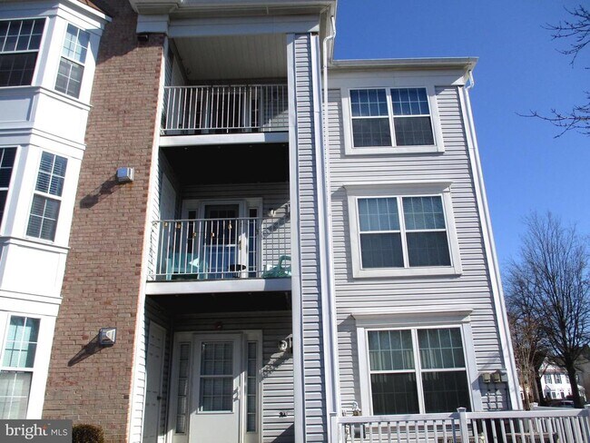 Building Photo - 2003 Phillips Terrace