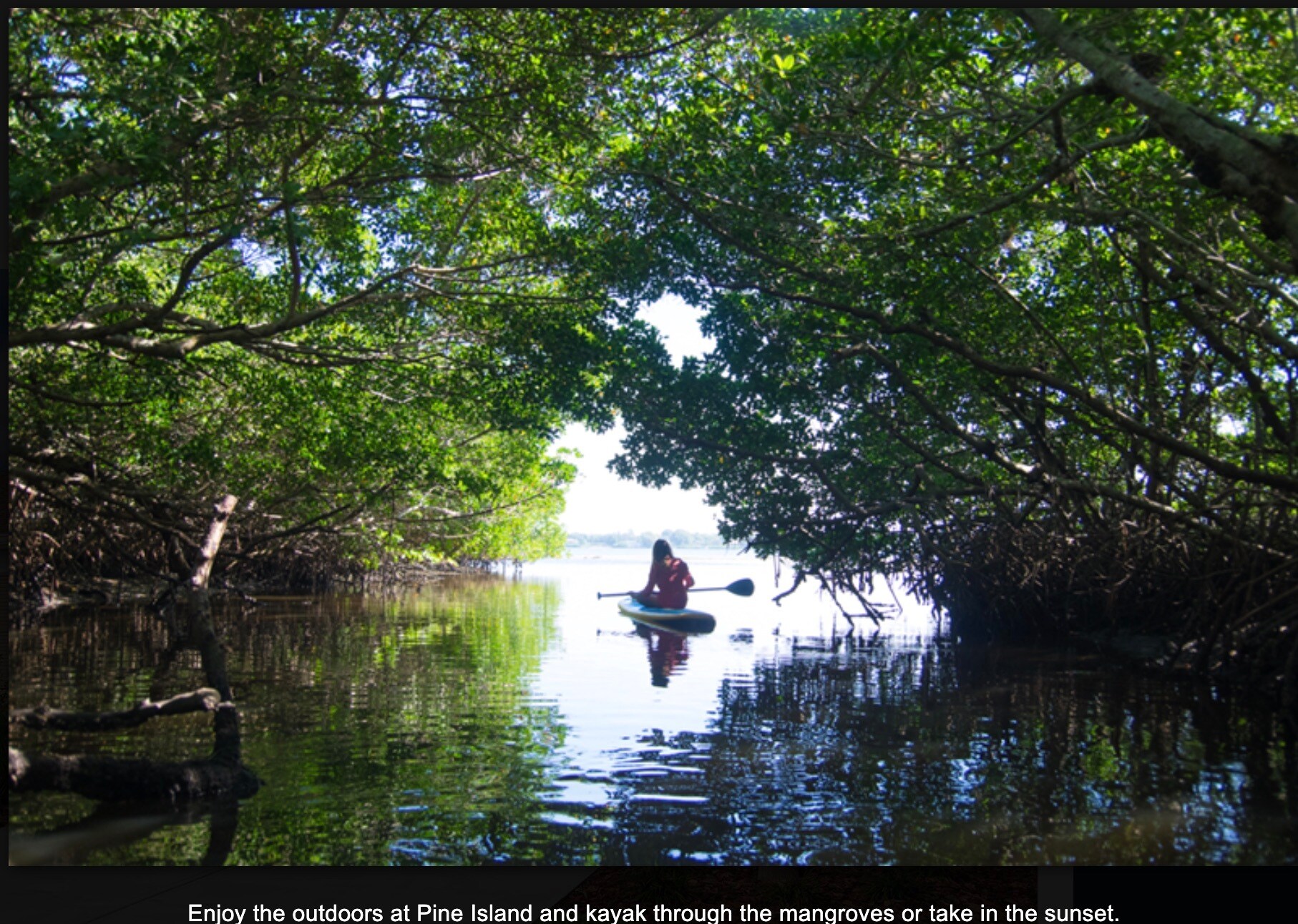 Building Photo - 516 Voltaire Dr