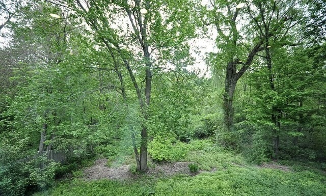 Backyard - 269 Sudbury Rd