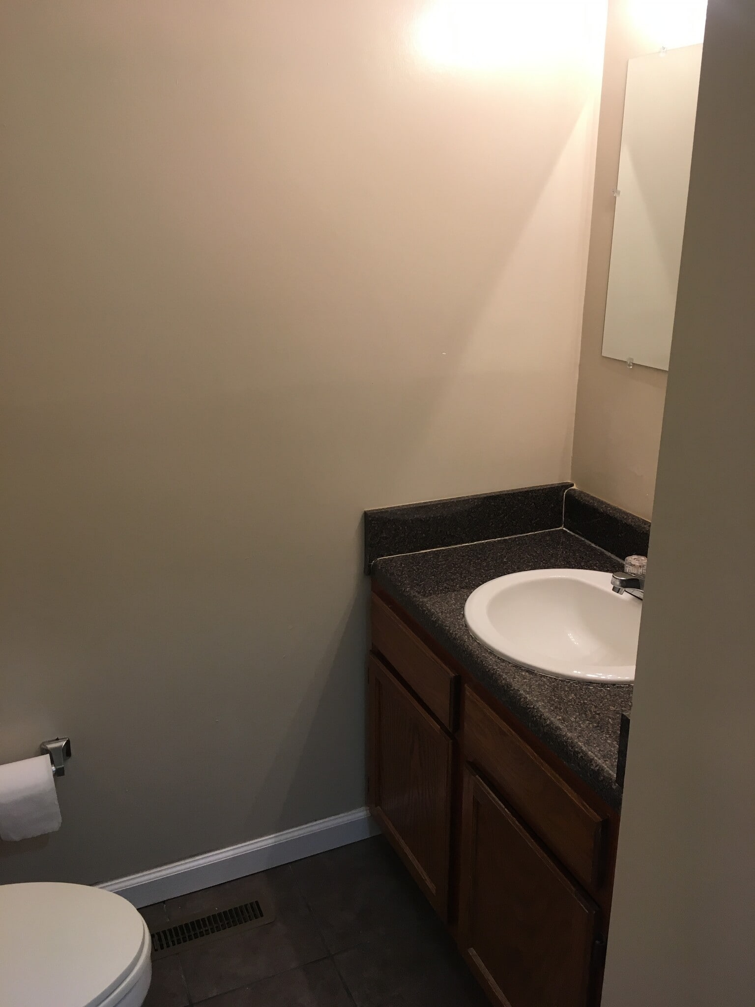 downstairs bathroom - 820 Catherine St