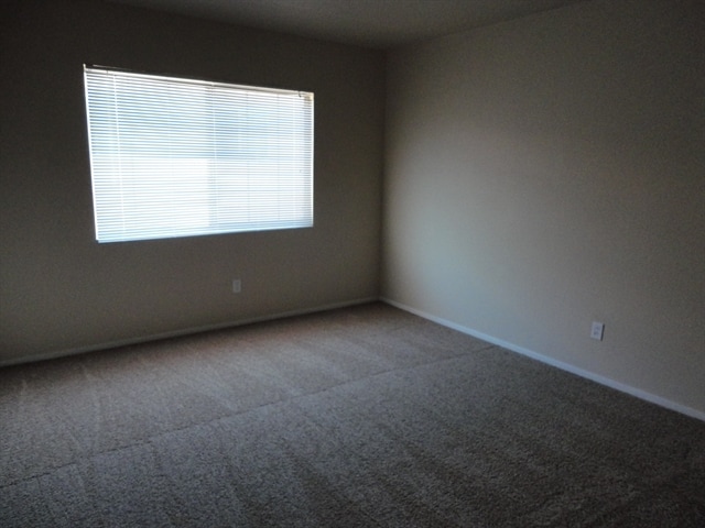 Building Photo - 207 Luninborg St