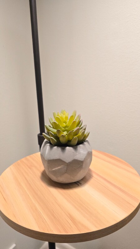 Building Photo - 1719 Gulfdale Dr