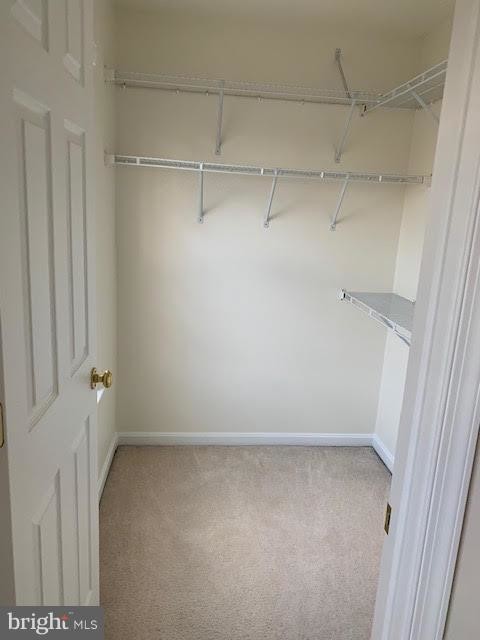 Building Photo - 1567 Northern Neck Dr