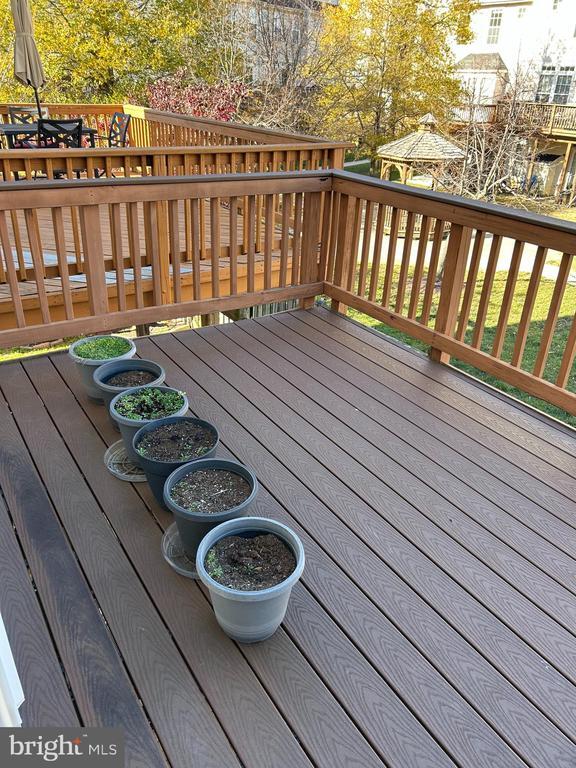 Building Photo - 3507 Ellery Cir