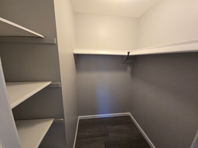 Main Bedroom Walk In Closet - 41129 S Woodbury Green Dr