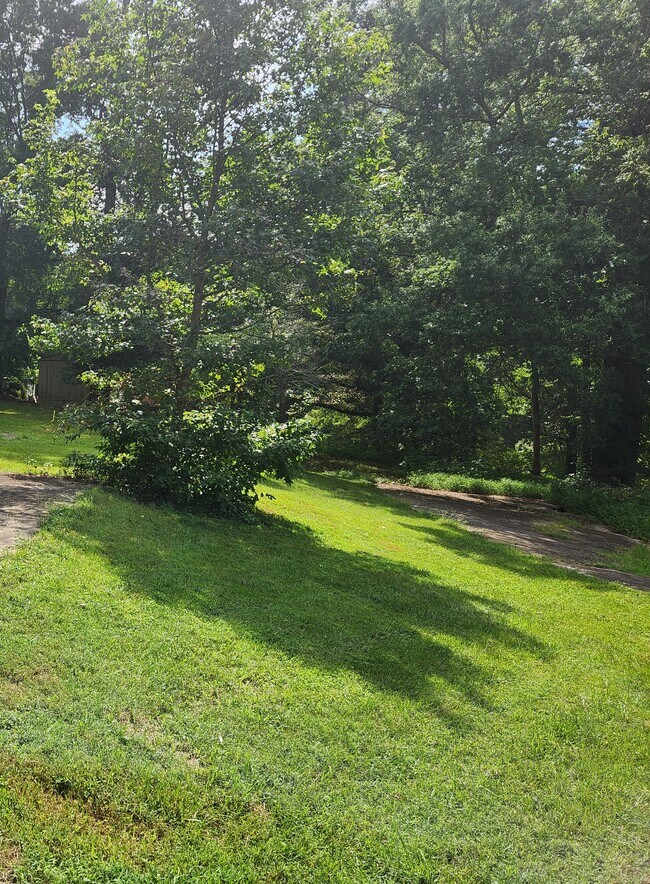Photo shows lot before clearing. This is for a 16' x 76' manufactured house. - 2308 Lenetta Dr