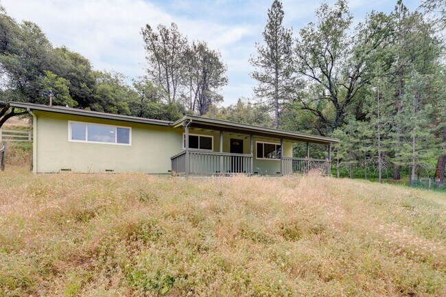 Building Photo - 1019 Mt Aukum Ct