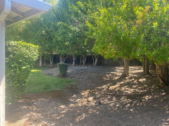 Building Photo - Quiet Sunnyvale Home