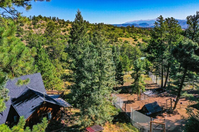 Building Photo - Backcountry Living