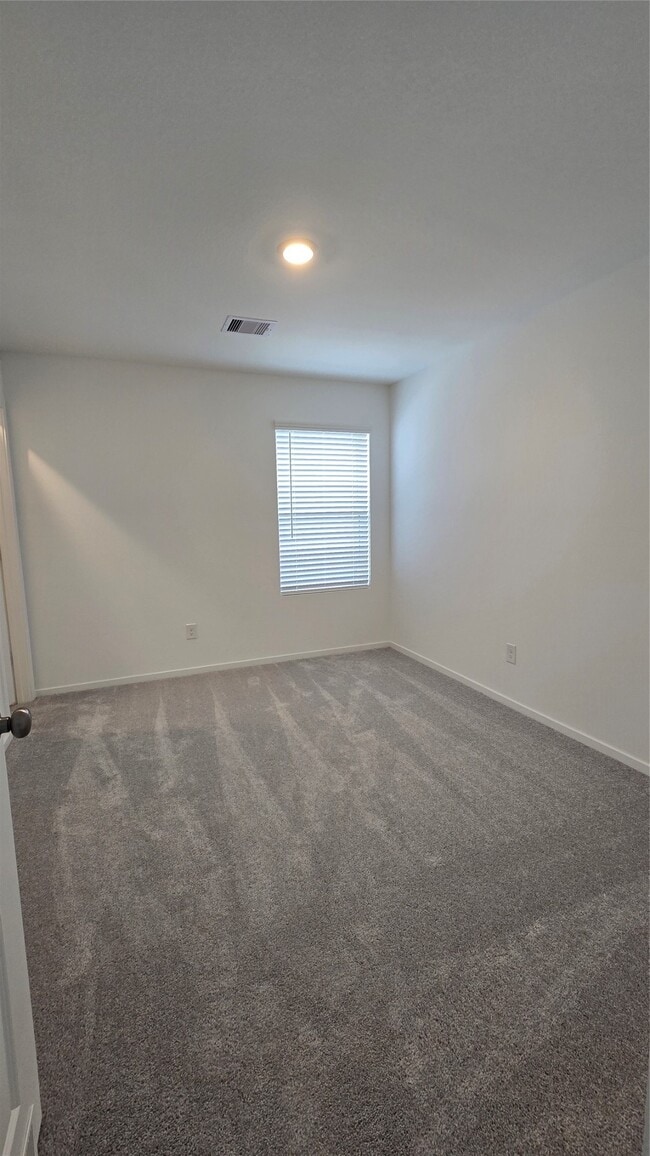 Building Photo - 27019 Turtle Vis Dr