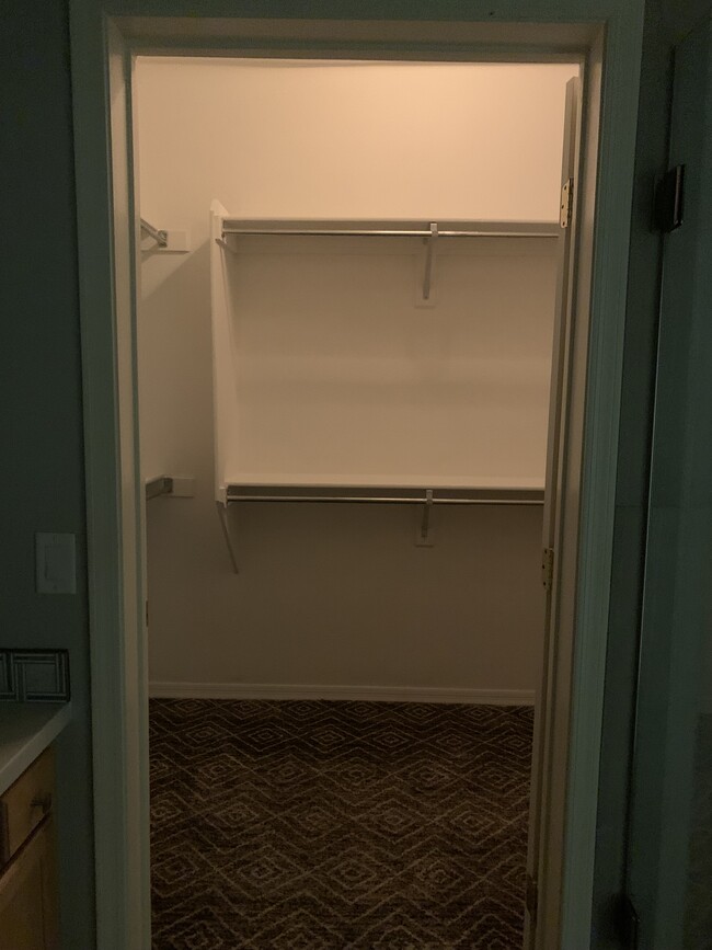 Large walk-in closet - 15221 N Clubgate Dr