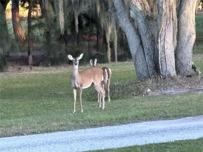 Building Photo - 1950 Bern Creek Loop