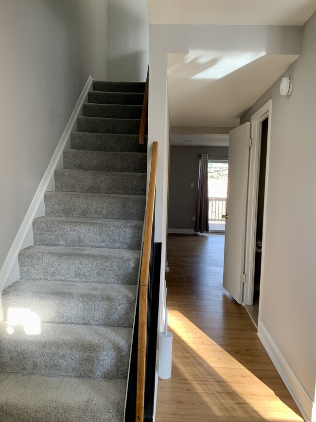 Ground Level Hallway - 7359 Hickory Log Cir