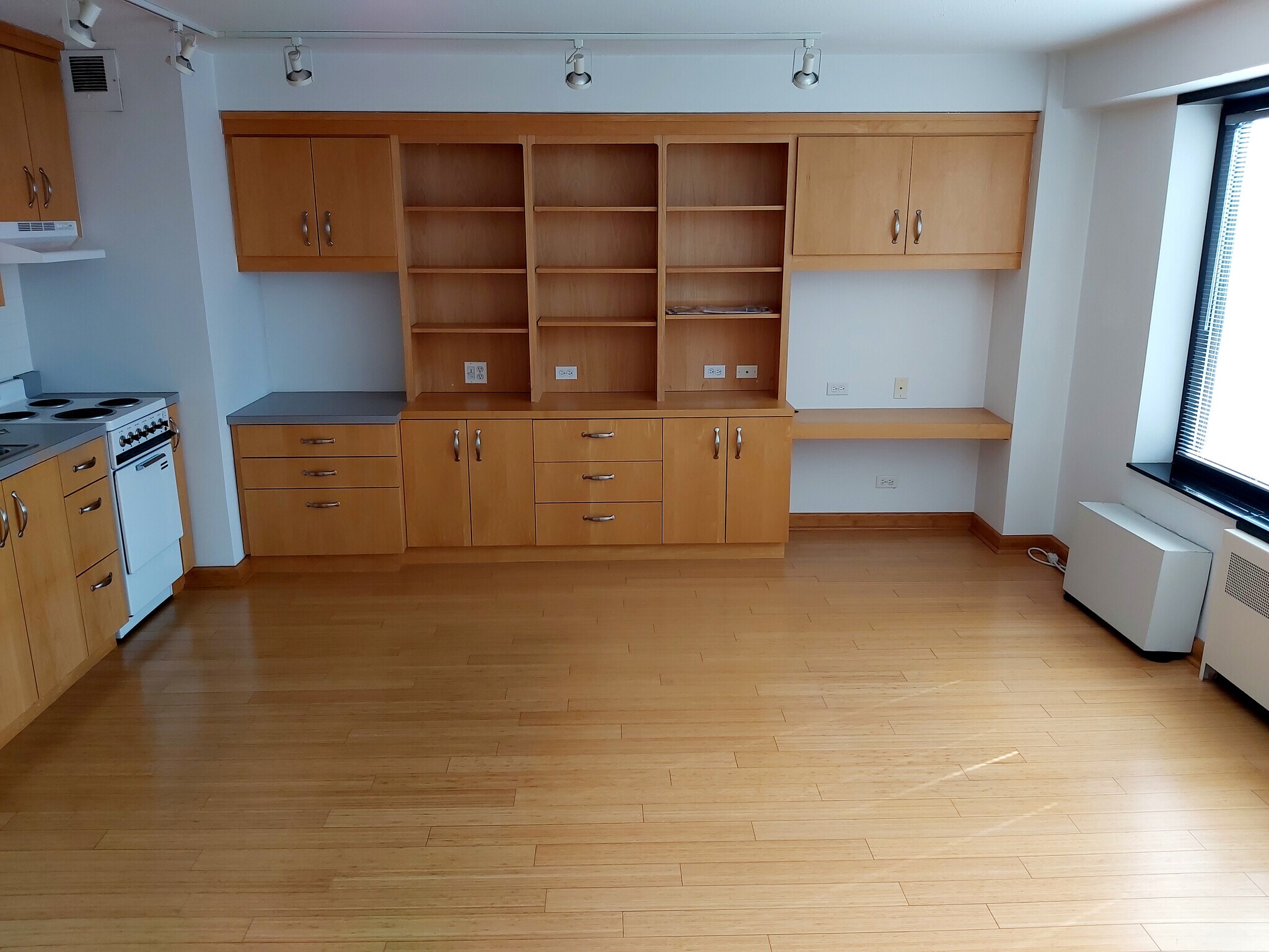 Living room - 3100 N Lake Shore Dr