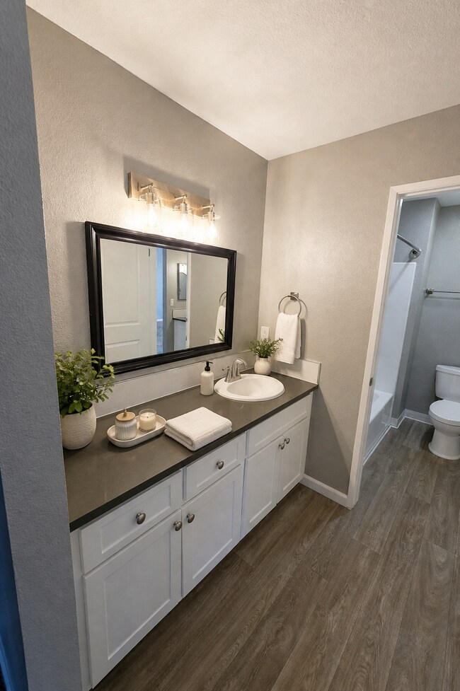 Master Vanity - Meridian Apartments