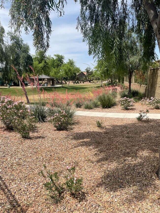 Building Photo - 5 Bedroom/3 Bath Home in Chandler!
