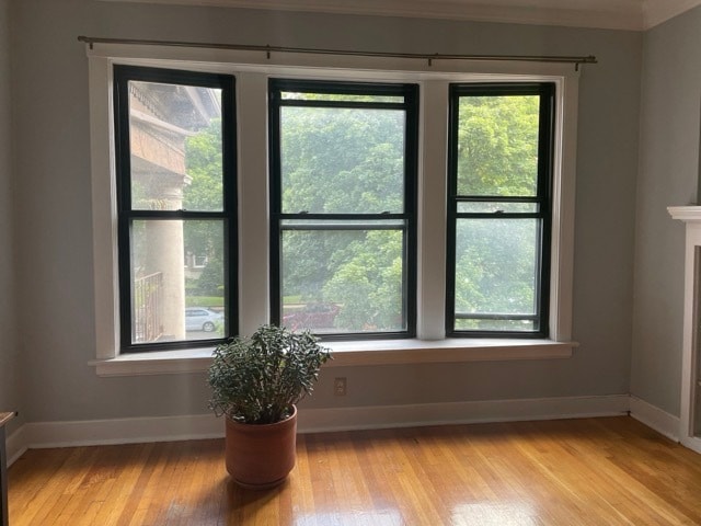 Living Room - 5442 S Cornell Ave
