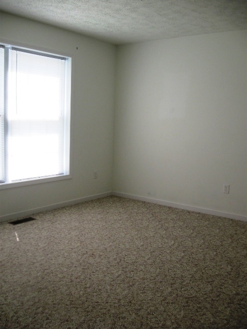 Building Photo - 247 Daniel Boone Dr Ext