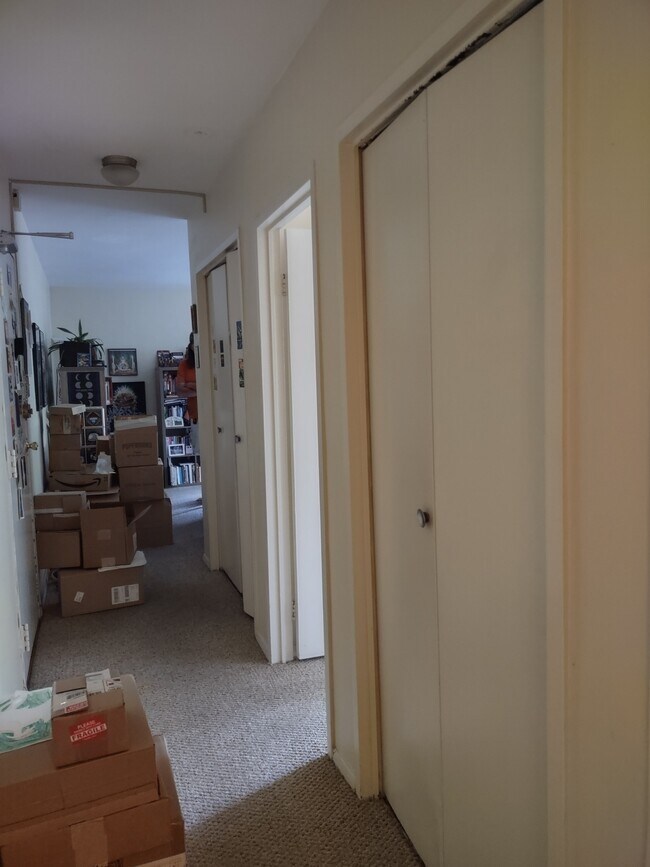 2 large closets - 8601 Manchester Rd, #508