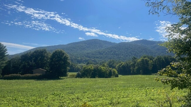 Building Photo - Cosby 2/2 Brand New Duplex