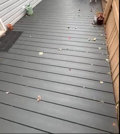 Building Photo - 4 Maravista Ave