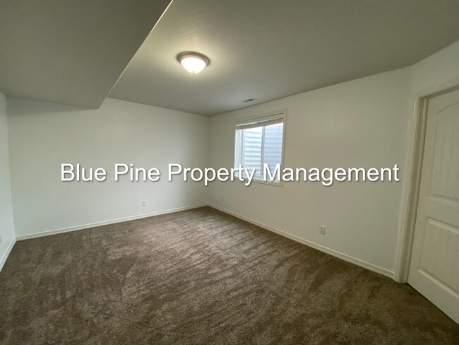 Building Photo - 3865 Cobalt Dr