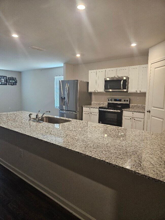 Building Photo - Brand New 4BD/2BA Home on Quiet Cul-de-Sac...