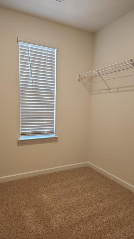 Building Photo - 1376 Amberview Ln