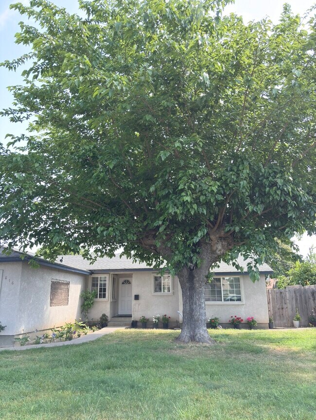 Building Photo - 516 Ribier Ave