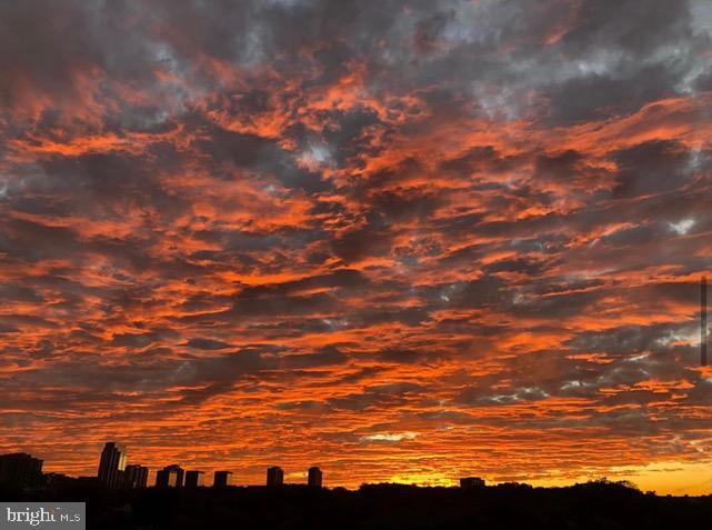 Building Photo - 4500 S Four Mile Run Dr