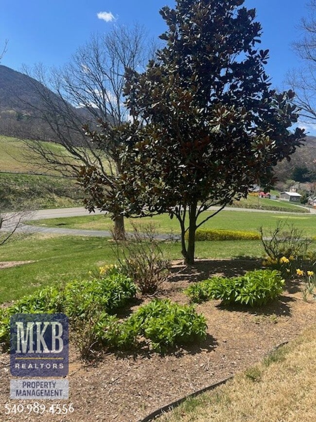 Building Photo - 4bd/3bth SW County Home