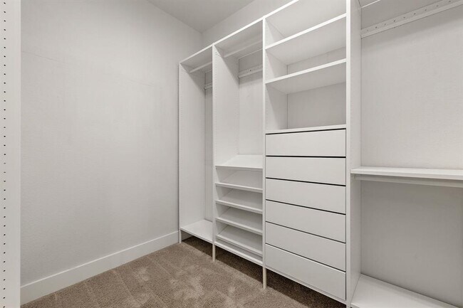 Building Photo - 113 Lyrebird Ln
